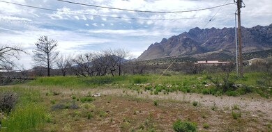 2490 S H Bar M Rd, Portal, AZ 85632 - photo 4