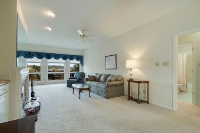 323 Gadusi Ln, Loudon, TN 37774 - photo 4