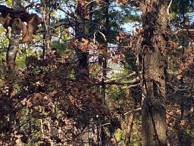 924 Quail Way, Elizabeth, AR 72531 - photo 7