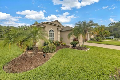 417 Cypress View Dr, Oldsmar, FL 34677 - photo 3