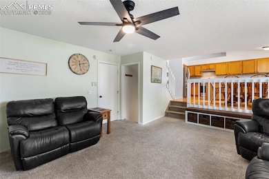 5933 Fossil Dr, Colorado Springs, CO 80923 - photo 7