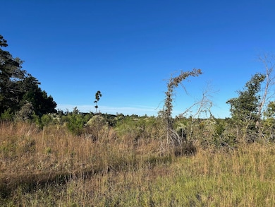 000 Homer Cooper Rd, Marshall, TX 75672 - photo 4