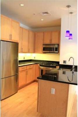 Lincoln Plaza II unit L619, Boston, MA 02111 - photo 2