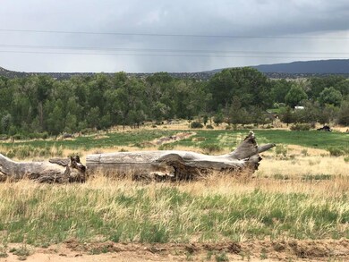 TBD P County Road 571, Gardner, CO 81040 - photo 4