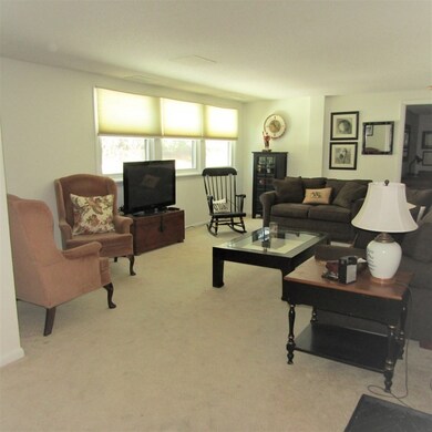 26 Crescent St unit 104, Northampton, MA 01060 - photo 5
