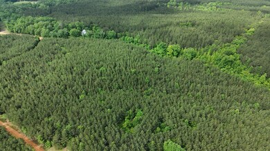 DJI_20250508094913_0004_D