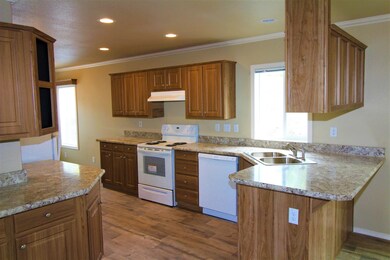 IMG_1261 (2)