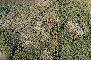 0 7108-01-13-0010 unit MFRO6305929, Deland, FL 32724 - photo 2