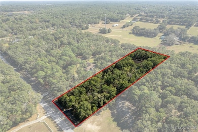 2656 E Hampshire St, Inverness, FL 34453 - photo 2