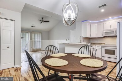 4409 Silverbrook Ln unit 301, Owings Mills, MD 21117 - photo 4