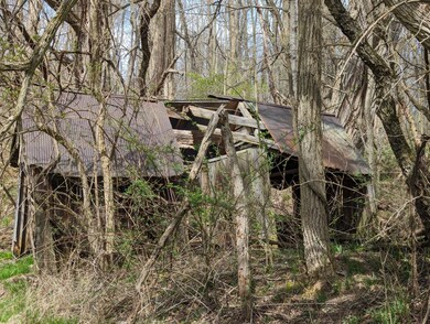 PXL_20240407_180517175