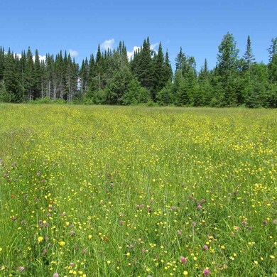 417-104.7 Marshall Hill Rd, Columbia, NH 03576 - photo 2