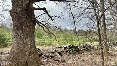 0 Long Ridge Rd unit PWBPW240661, Hawley, PA 18428 - photo 5