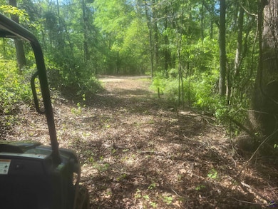 101 Mission Farm Rd, Gordon, GA 31031 - photo 7