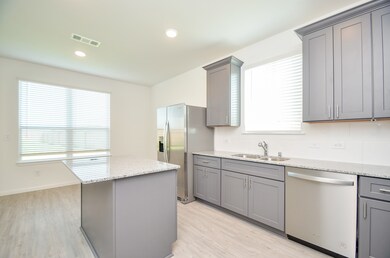 17903 Cranberry Scoop, Hockley, TX 77447 - photo 2