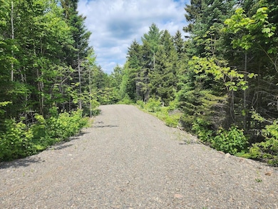 Lot  D Deer Point Rd W, Robbinston, ME 04671 - photo 3
