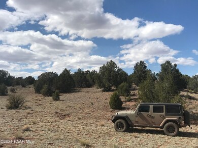 225 Off of Camp Rd, Ash Fork, AZ 86320 - photo 3