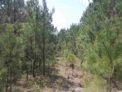 0 Coastal Oaks Dr, Conway, SC 29527 - photo 3