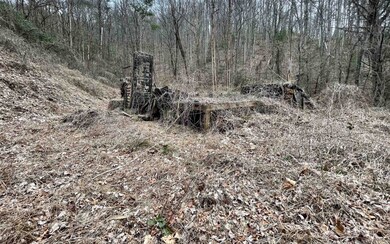Additional View