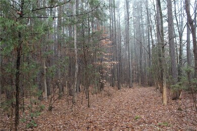 7.010 ACRES Genito Rd, Amelia Ct Hse, VA 23002 - photo 4