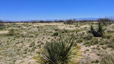IMG_20200402_115223