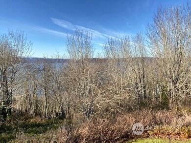 9 92nd St SW, Mukilteo, WA 98275 - photo 4