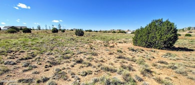 1190 Haystack Rd unit Lot 68, Taylor, AZ 85939 - photo 3