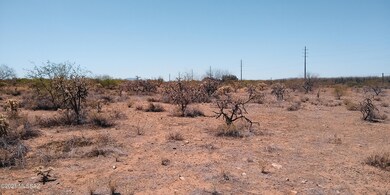 Lot46-2