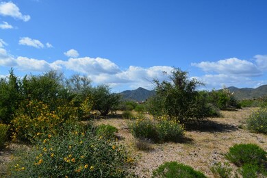 DSC_0008