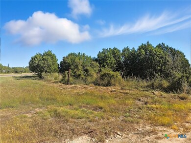 5698 County Road 102, Purmela, TX 76566 - photo 6