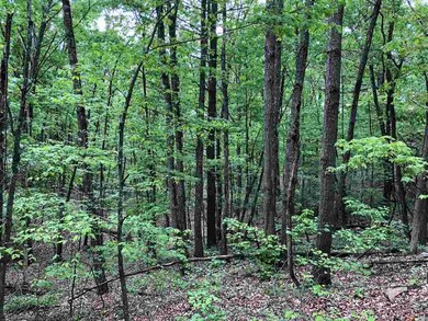 0 Clark Rd unit 629794, Basye, VA 22810 - photo 2