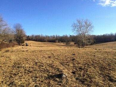 Eastern View Lower meadow