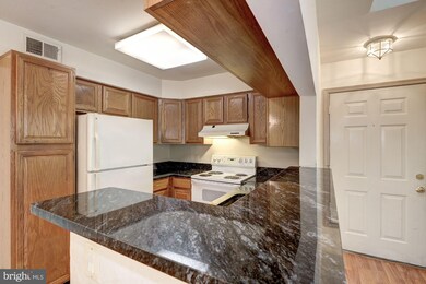 11717 Karbon Hill Ct unit 705B, Reston, VA 20191 - photo 6