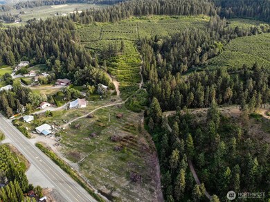 10801 Us Hwy 2, Peshastin, WA 98847 - photo 6