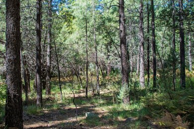 535 N Rim Trail