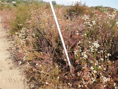 0 Olive St, Wildomar, CA 92584 - photo 2