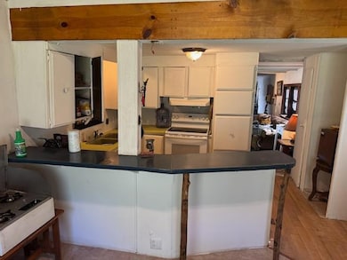 3402 W Moore Rd, Spencer, IN 47460 - photo 5