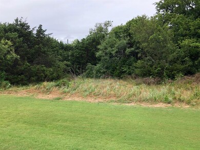 39331 Cedar Trail, Whitney, TX 76692 - photo 3