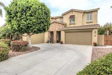 Hackberry-Front view2