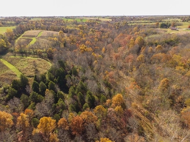 0 Kidwell Rd unit LotWP001, Ewing, KY 41039 - photo 3