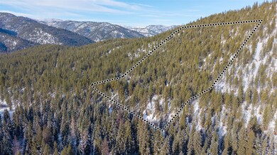 NHN Yearling Run, Alberton, MT 59820 - photo 5