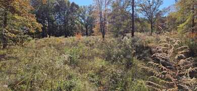411 Pugh Rd, Mathews, AL 36052 - photo 5