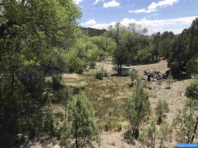 xx Oakhurst & Nizhoni, Silver City, NM 88061 - photo 5