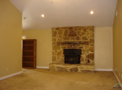 10896 County Road 2250, Tyler, TX 75707 - photo 4