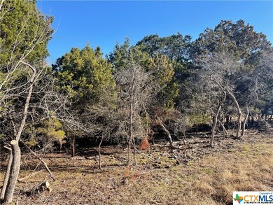 15920 Salado Dr, Temple, TX 76502 - photo 2