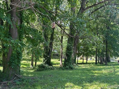 0 Lewis & Albert St unit MAR25013843, Dexter, MO 63841 - photo 2