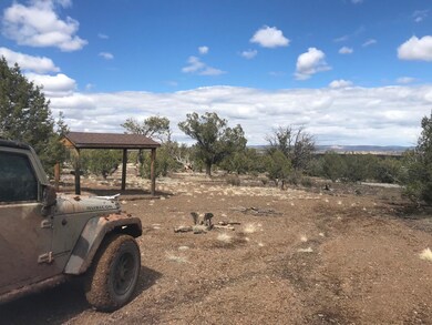 361 Robles, Ash Fork, AZ 86320 - photo 2
