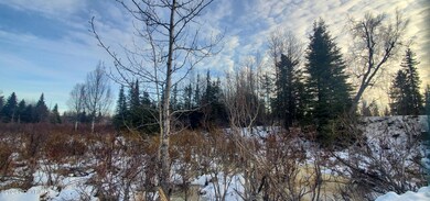 Winter land