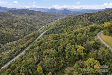 1505 Summit View Dr unit 20, Canton, NC 28716 - photo 4