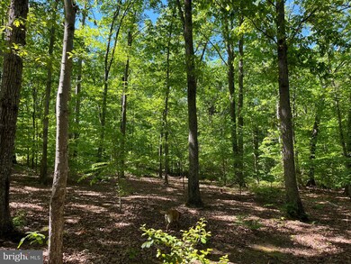 0 Harris Creek Rd unit VAAB2000634, Charlottesville, VA 22902 - photo 6